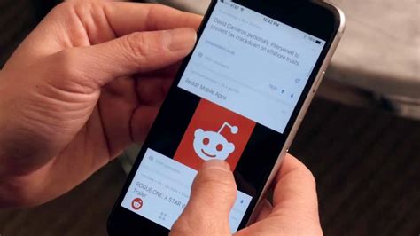 reddit sportsbook review